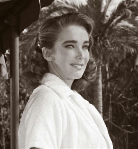 cheesecake julie adams|julie adams early years.